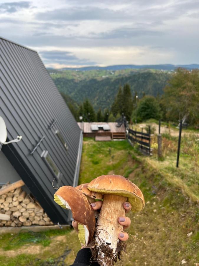 Nordik Cabin - Aframe With 2 Bedrooms Mărişel Esterno foto